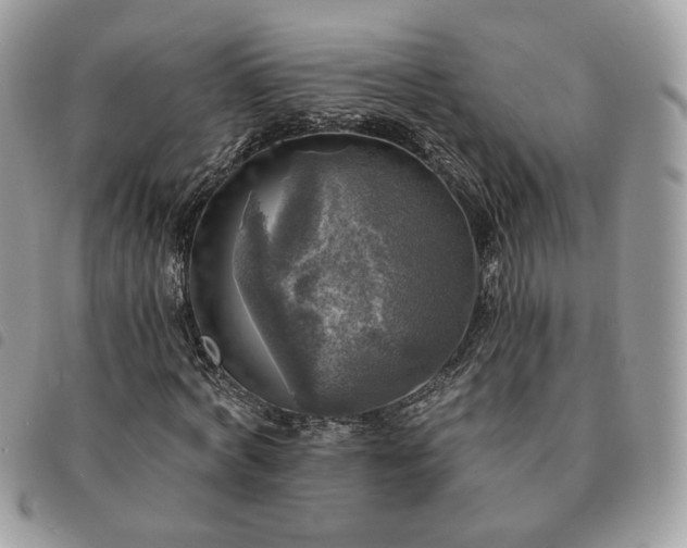 X0000091290772200708171344