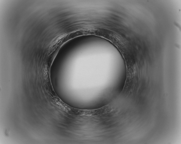 X0000091290773200708171344