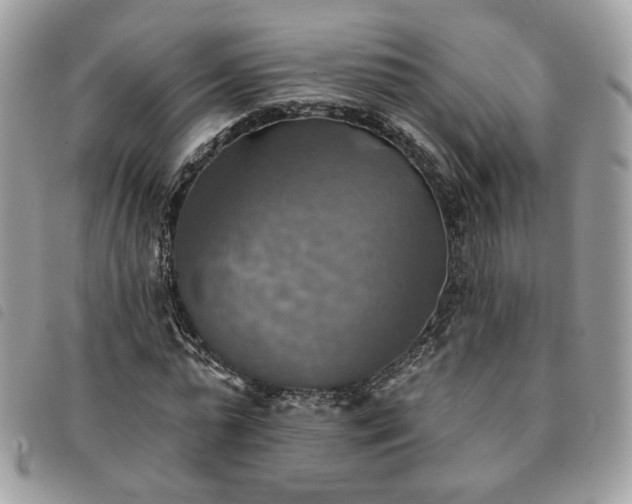 X0000091290775200708171344