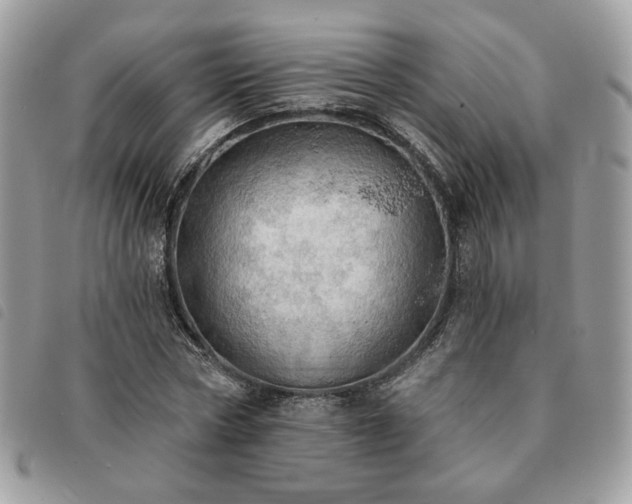 X0000091290778200708171344