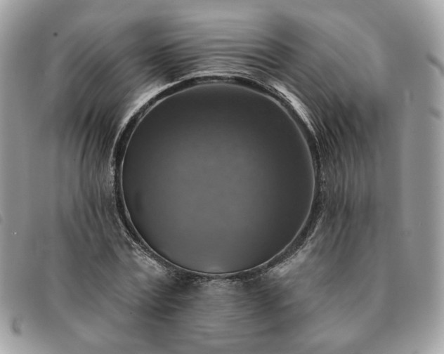 X0000091290779200708171344