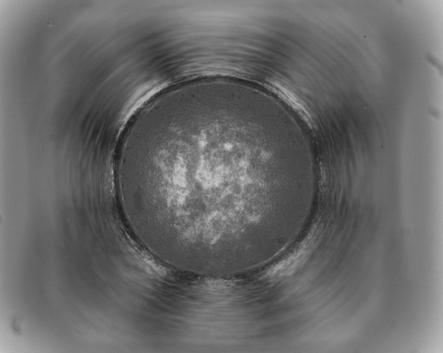 X0000091290782200708171344