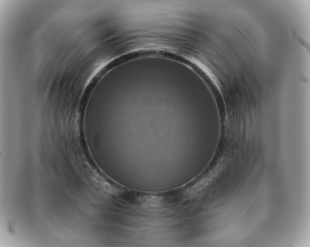 X0000091290783200708171344