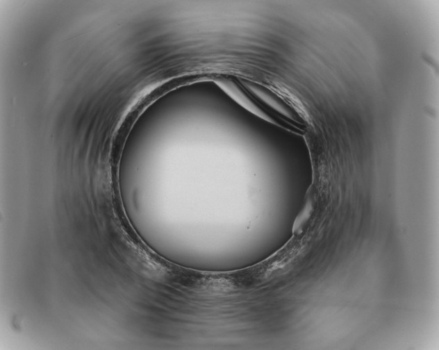 X0000091290784200708171344