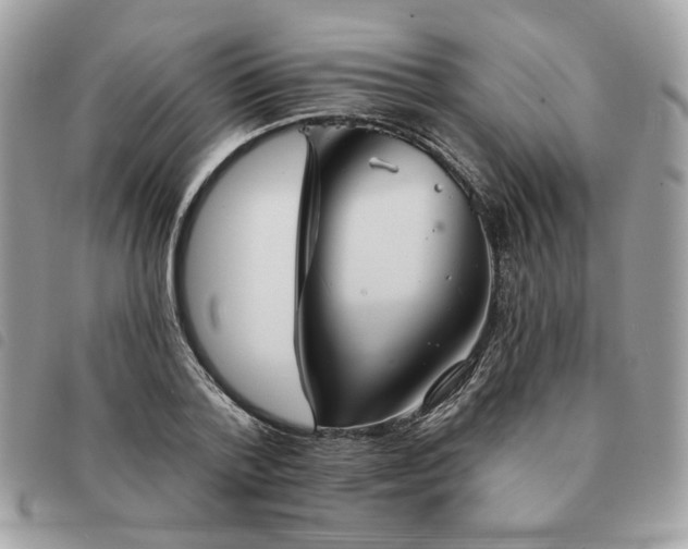 X0000091290788200708171344