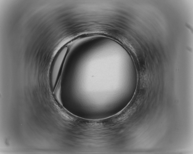 X0000091290789200708171344