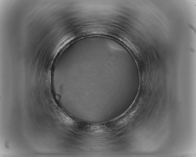 X0000091290790200708171344