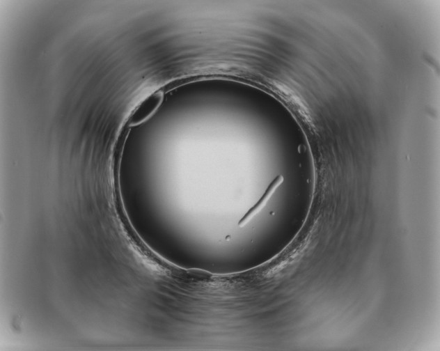 X0000091290792200708171344