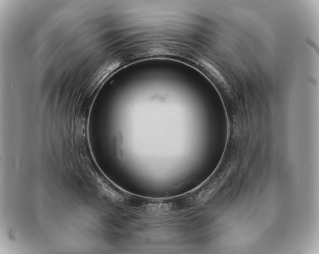 X0000091290793200708171344