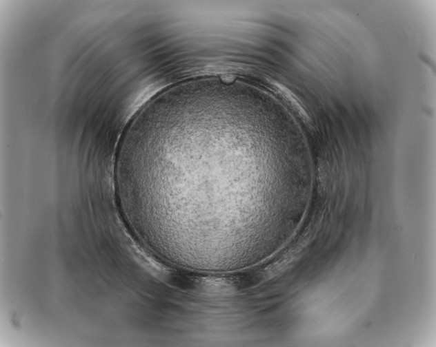 X0000091290794200708171344