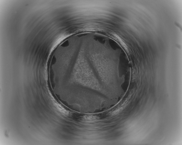 X0000091290795200708171344