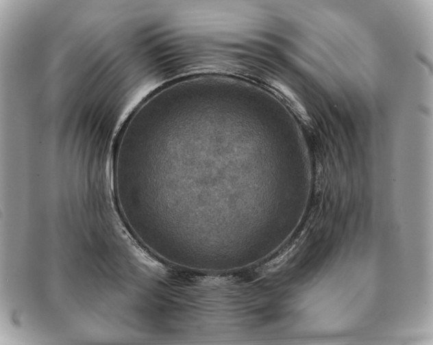 X0000091290796200708171344