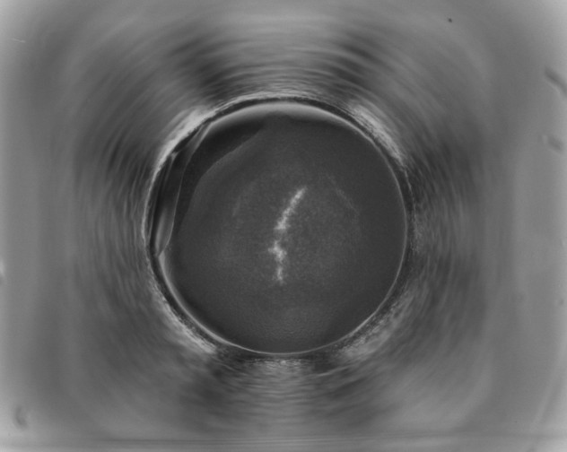 X0000091290797200708171344