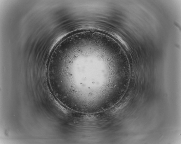 X0000091290799200708171344