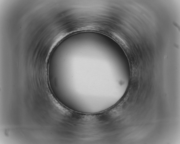 X0000091290800200708171344