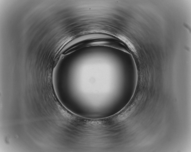 X0000091290801200708171344