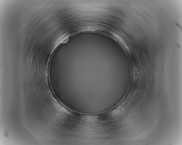 X0000091290802200708171344