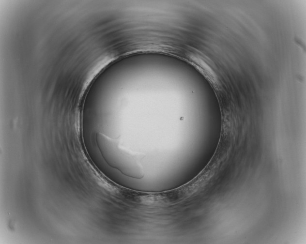 X0000091290804200708171344