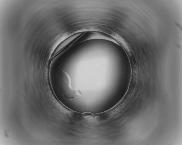 X0000091290805200708171344