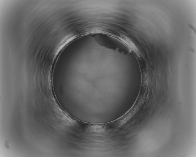 X0000091290806200708171344