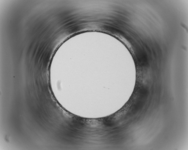 X0000091290807200708171344