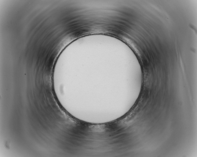 X0000091290810200708171344