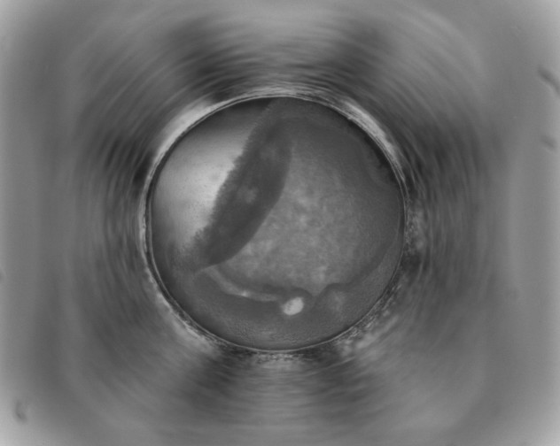 X0000091290811200708171344