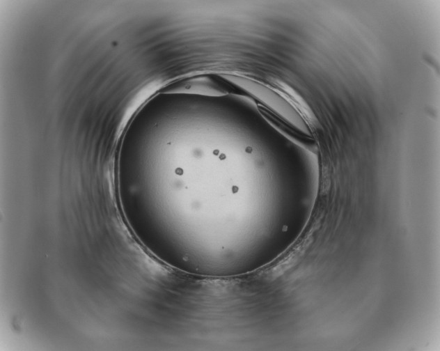 X0000091290812200708171344