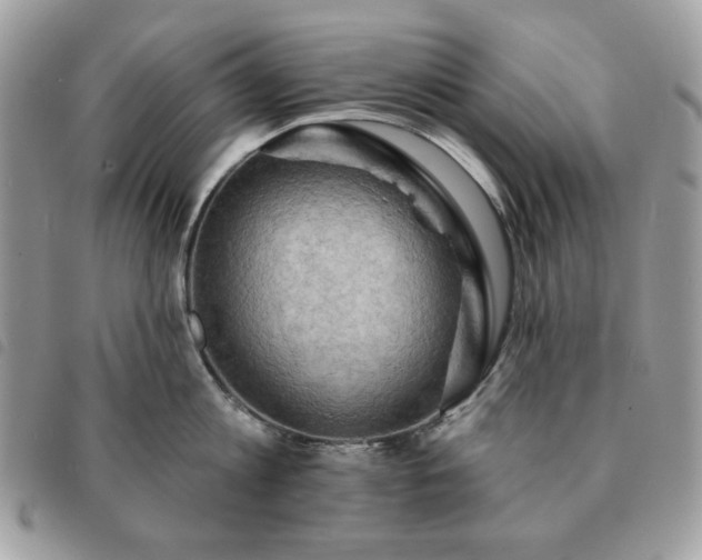 X0000091290813200708171344