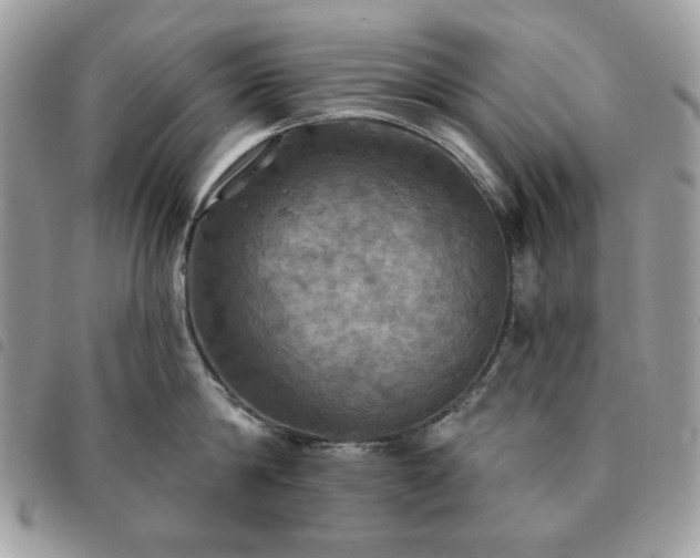 X0000091290814200708171344