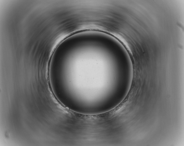 X0000091290815200708171344