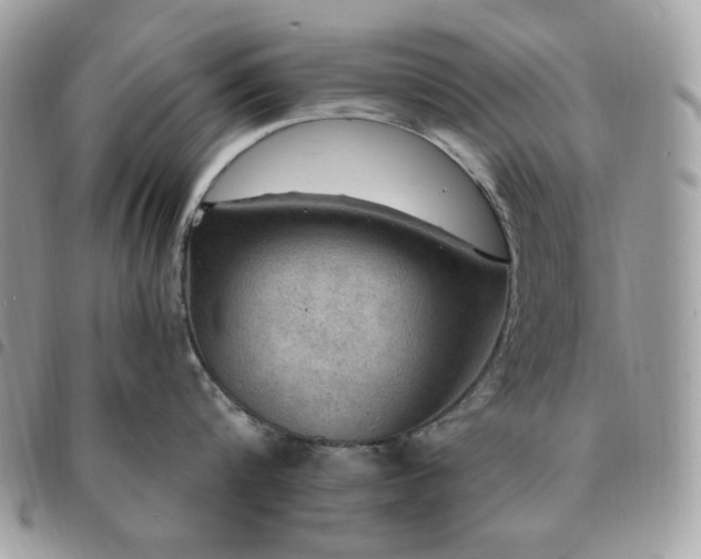 X0000091290816200708171344