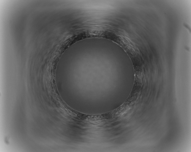 X0000091290817200708171343