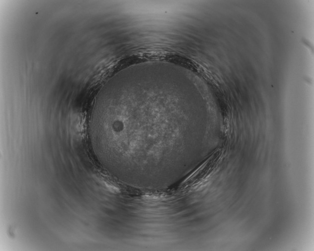 X0000091290818200708171343