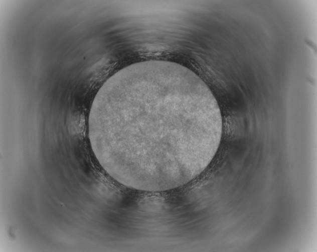 X0000091290820200708171343