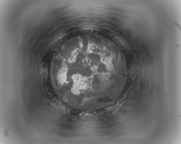 X0000091290821200708171343