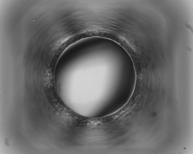 X0000091290822200708171343