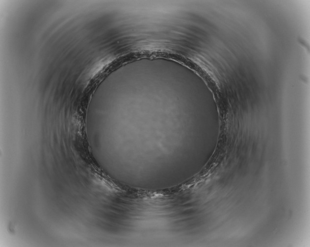 X0000091290823200708171343