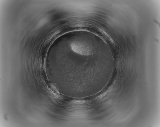 X0000091290825200708171343