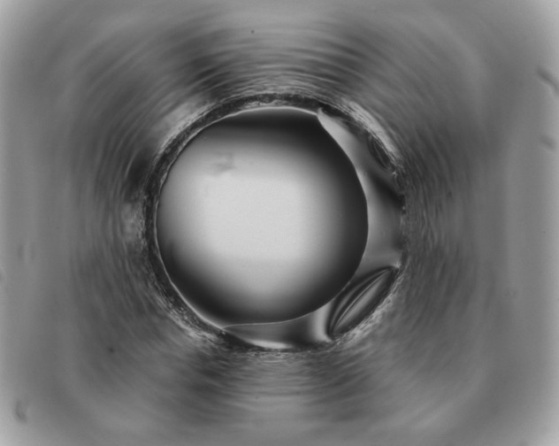 X0000091290826200708171343