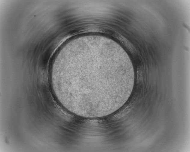 X0000091290828200708171343