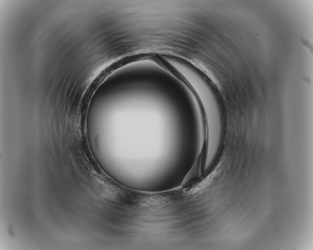 X0000091290830200708171343