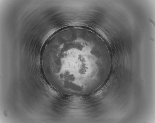 X0000091290831200708171343