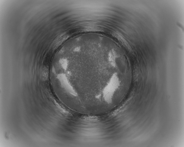 X0000091290833200708171343