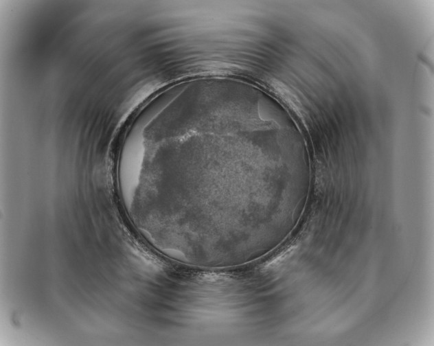 X0000091290835200708171343