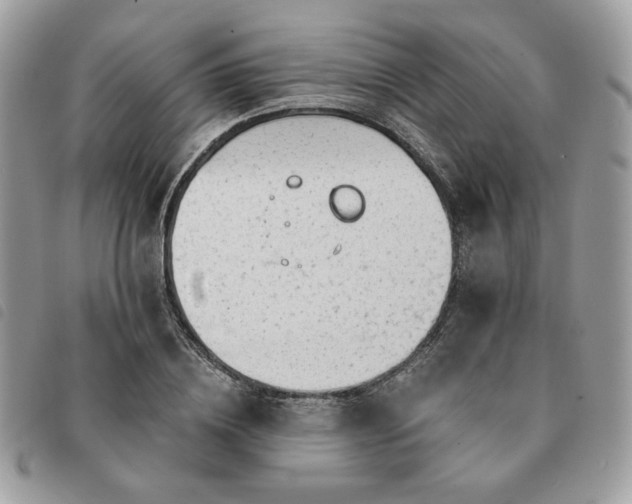 X0000091290836200708171343