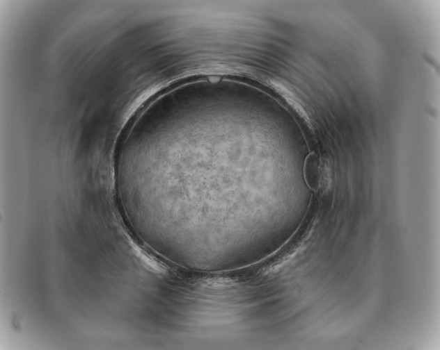 X0000091290837200708171343