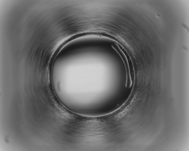 X0000091290838200708171343