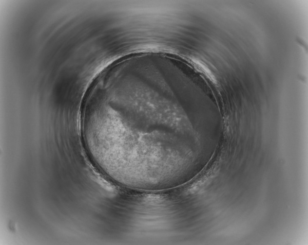 X0000091290839200708171343