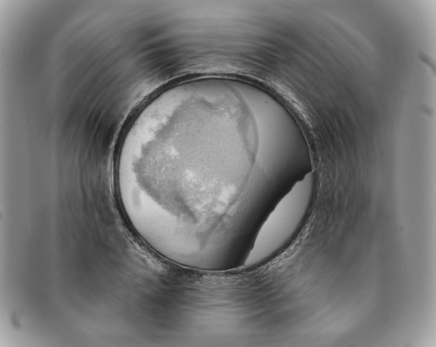 X0000091290840200708171343